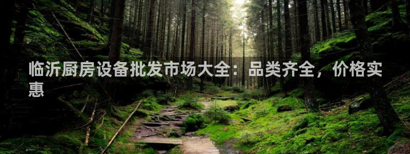 z6尊龙凯时ag旗舰厅：临沂厨房设备批发市场大全：品类齐全，