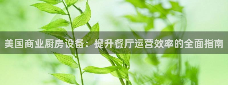 尊龙凯时人生就是博官网登录：美国商业厨房设备：提升餐厅运营效