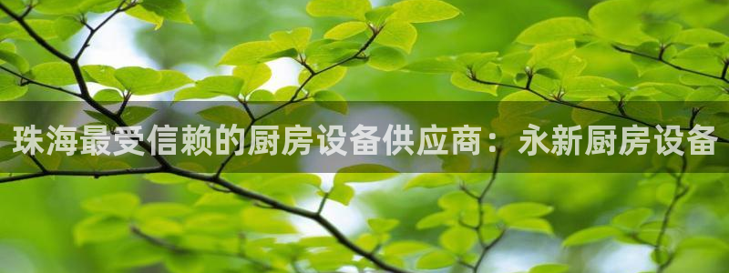 尊龙网站 人生就是博：珠海最受信赖的厨房设备供应商：永新厨房
