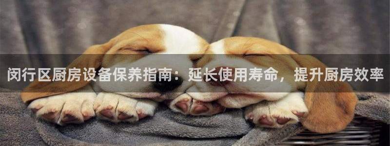 尊龙app最新版本官网：闵行区厨房设备保养指南：延长使用寿命