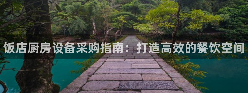 尊龙凯时登陆入口：饭店厨房设备采购指南：打造高效的餐饮空间