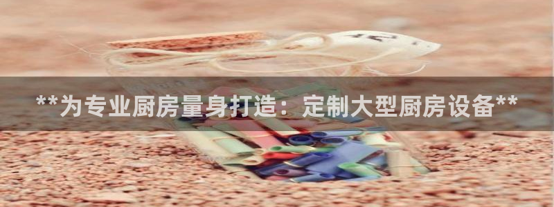 尊龙手机版下载：**为专业厨房量身打造：定制大型厨房设备**