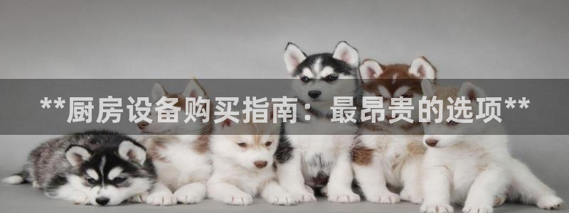 尊龙d88平台：**厨房设备购买指南：最昂贵的选项**