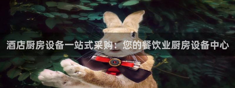尊龙凯时不朽情缘：酒店厨房设备一站式采购：您的餐饮业厨房设备
