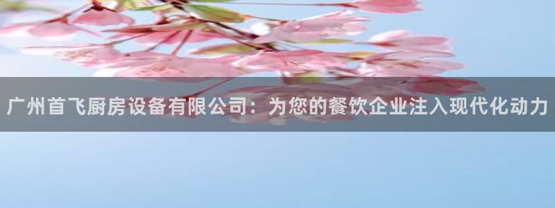 尊龙实业 吴友良：广州首飞厨房设备有限公司：为您的餐饮企业注