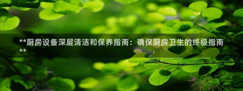 凯时k8娱乐唯一官网：**厨房设备深层清洁和保养指南：确保厨