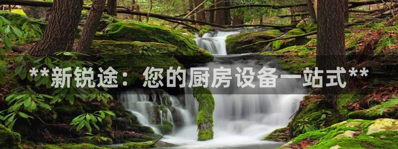 尊龙凯时人生就博官网：**新锐途：您的厨房设备一站式**