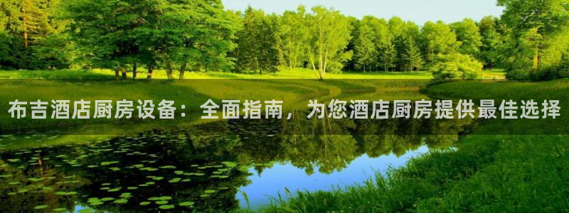 尊龙实业有限公司是正规还是仿：布吉酒店厨房设备：全面指南，为