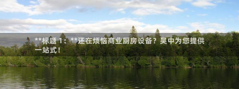 尊龙人生就是博登录网址下载：**标题 1：**还在烦恼商业厨