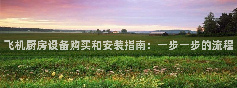 尊龙新版app首页：飞机厨房设备购买和安装指南：一步一步的流