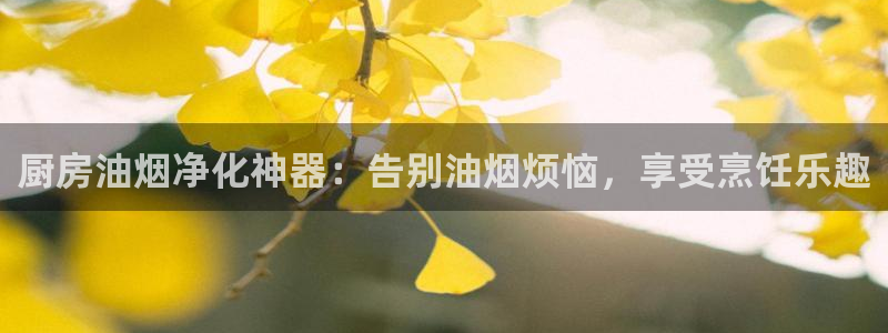 尊龙凯时vip：厨房油烟净化神器：告别油烟烦恼，享受烹饪乐趣