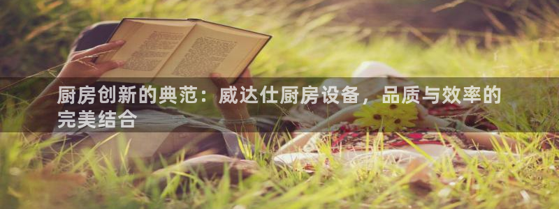 尊龙人生就是博登录：厨房创新的典范：威达仕厨房设备，品质与效