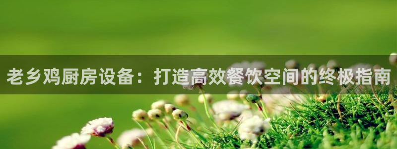 AG尊龙凯时注册：老乡鸡厨房设备：打造高效餐饮空间的终极指南