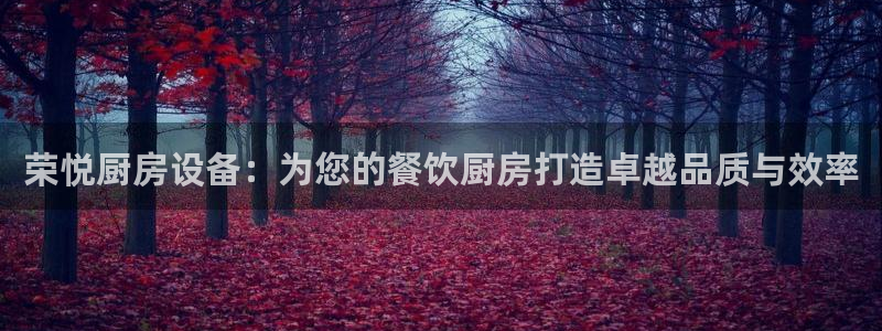 尊龙凯时 人生就是搏客服：荣悦厨房设备：为您的餐饮厨房打造卓