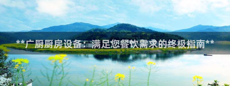 尊龙现金d88：**广厨厨房设备：满足您餐饮需求的终极指南*
