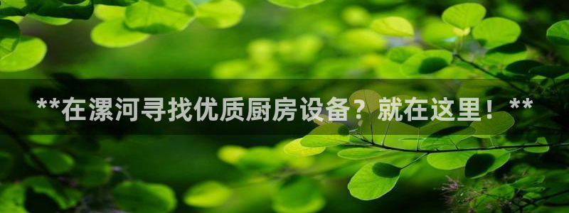 尊龙目前情况：**在漯河寻找优质厨房设备？就在这里！**
