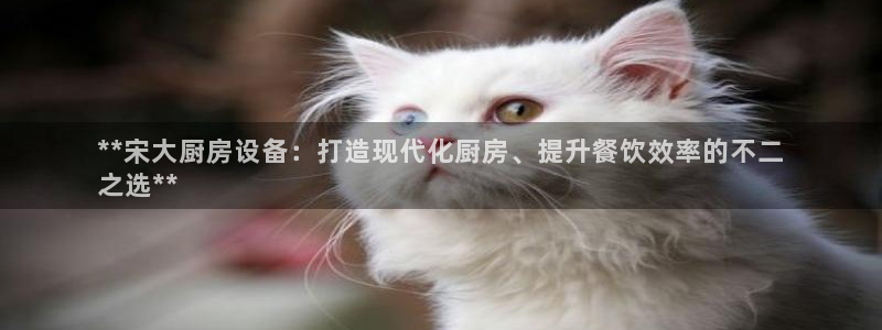 尊龙科技：**宋大厨房设备：打造现代化厨房、提升餐饮效率的不