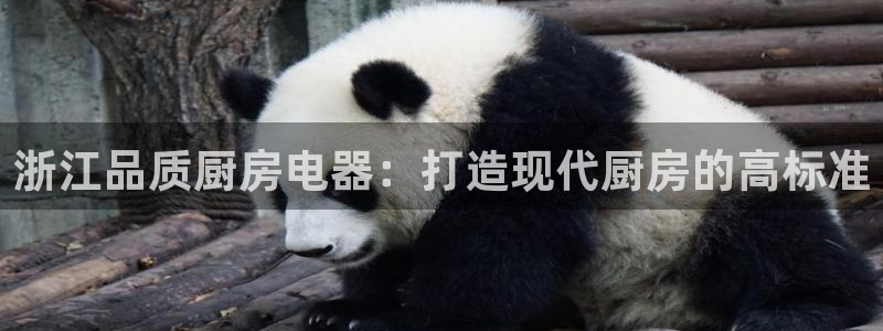 尊龙Ag：浙江品质厨房电器：打造现代厨房的高标准