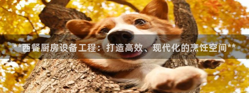 尊龙这个平台怎么样：**西餐厨房设备工程：打造高效、现代化的