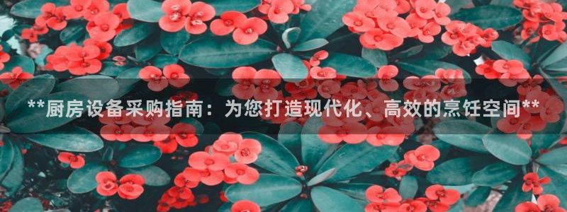 尊龙凯时官方网站：**厨房设备采购指南：为您打造现代化、高效