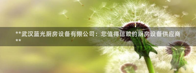 尊龙app|首选agdaohang：**武汉蓝光厨房设备有限