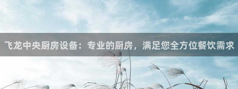 尊龙凯时平台入口：飞龙中央厨房设备：专业的厨房，满足您全方位