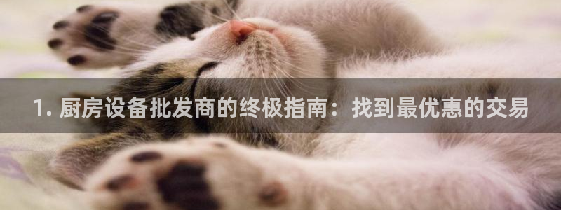 尊龙凯时ag旗舰：1. 厨房设备批发商的终极指南：找到最优惠