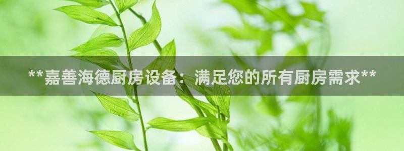 尊龙实业 吴友良：**嘉善海德厨房设备：满足您的所有厨房需求
