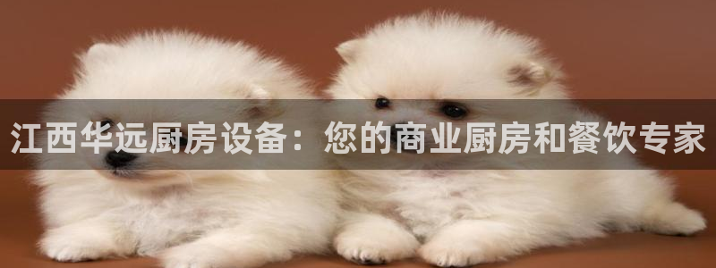 尊龙人生就是博ag旗舰厅：江西华远厨房设备：您的商业厨房和餐