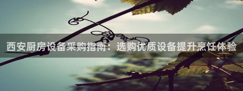 凯时k66官网登录：西安厨房设备采购指南：选购优质设备提升烹