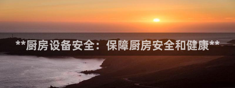 尊龙最新版：**厨房设备安全：保障厨房安全和健康**