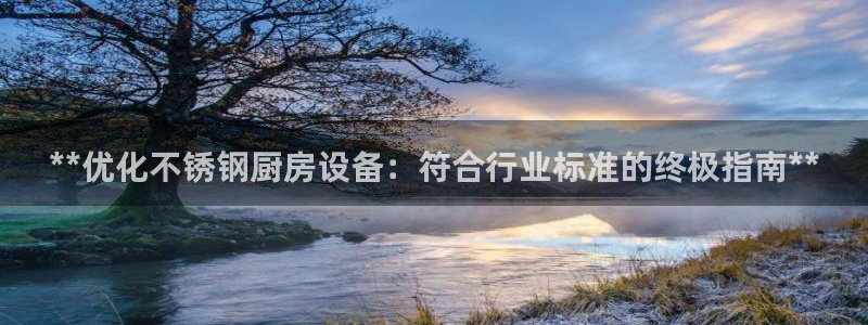 凯时尊龙平台登录：**优化不锈钢厨房设备：符合行业标准的终极