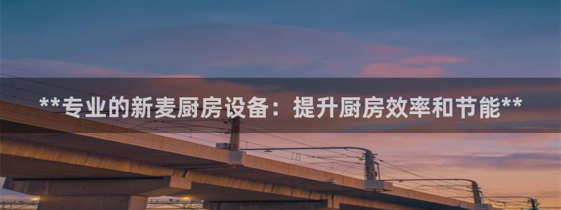 尊龙凯时家居是品牌吗：**专业的新麦厨房设备：提升厨房效率和