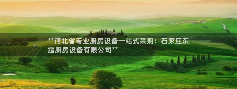ZL尊龙凯时平台：**河北省专业厨房设备一站式采购：石家庄东