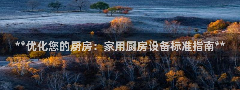 尊龙APP客户端平台：**优化您的厨房：家用厨房设备标准指南