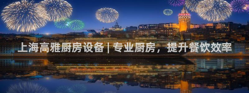 尊龙人生就是-首页(中国)有限公司：上海高雅厨房设备 | 专