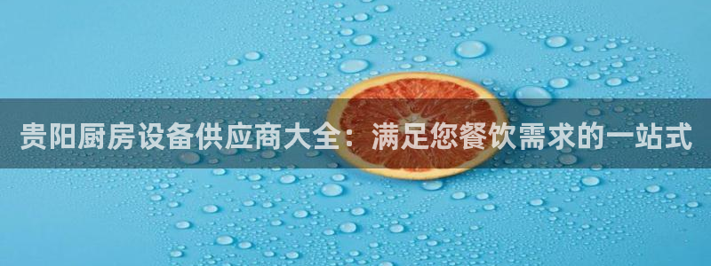 尊龙凯时企业文化：贵阳厨房设备供应商大全：满足您餐饮需求的一