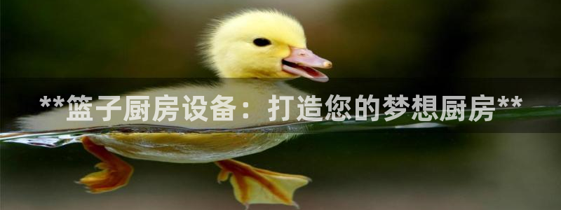 尊龙app下载官网：**篮子厨房设备：打造您的梦想厨房**