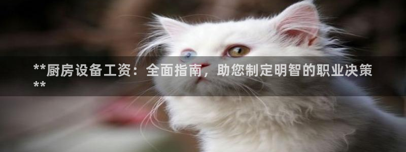 尊龙人生就是博首页入口：**厨房设备工资：全面指南，助您制定