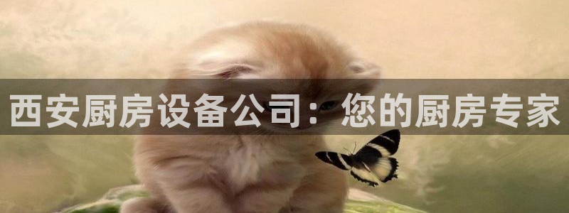 凯时kb88官方：西安厨房设备公司：您的厨房专家