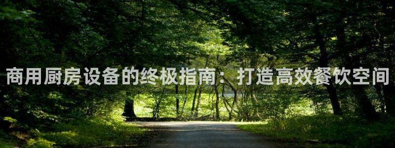尊龙,人生就是博!登录国际：商用厨房设备的终极指南：打造高效