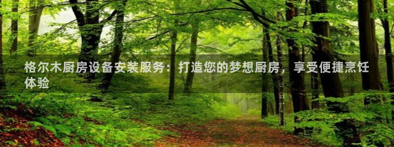 z6尊龙凯时旗：格尔木厨房设备安装服务：打造您的梦想厨房，享