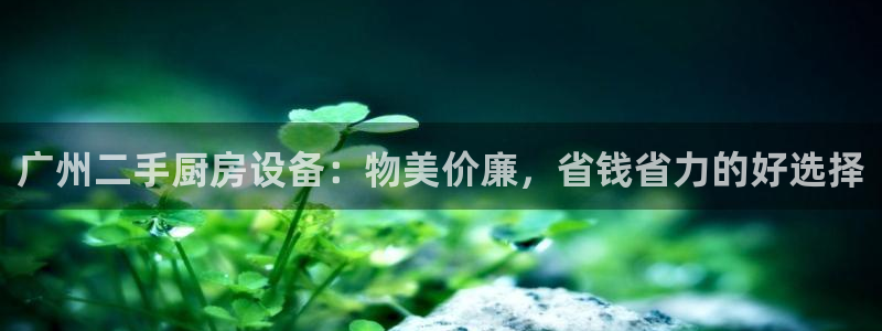 尊龙人生就是博网站：广州二手厨房设备：物美价廉，省钱省力的好
