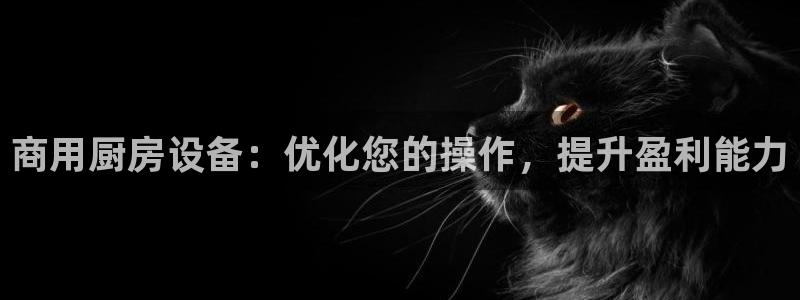 凯时app赢AG发财网来就送38：商用厨房设备：优化您的操作