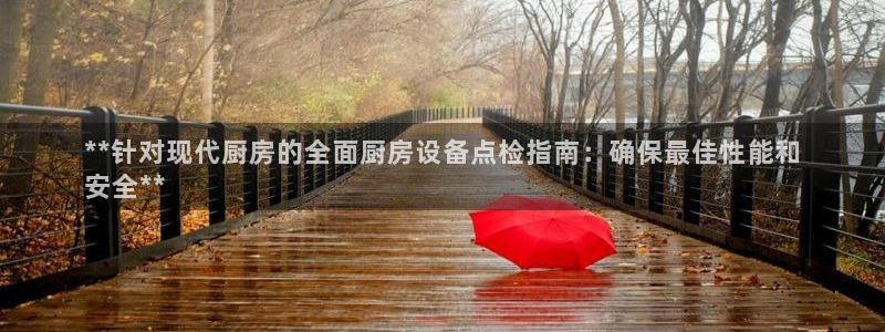 尊龙多少岁：**针对现代厨房的全面厨房设备点检指南：确保最佳