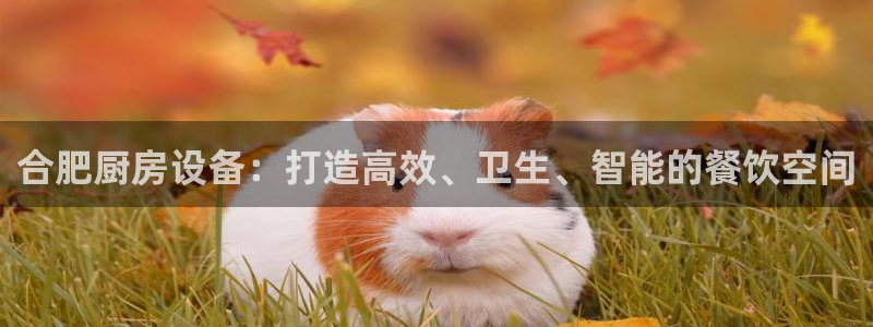 凯时k88最新：合肥厨房设备：打造高效、卫生、智能的餐饮空间