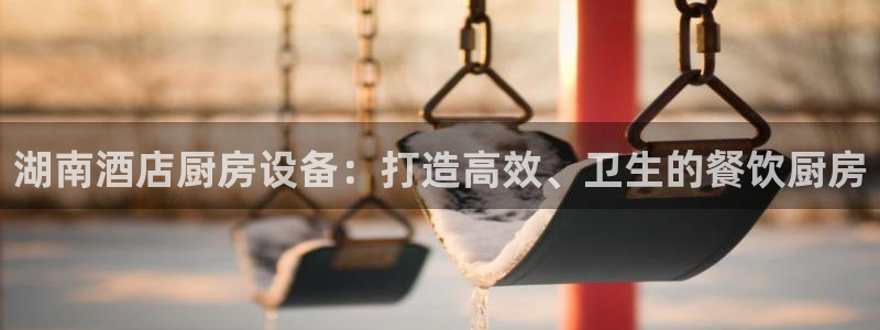 下载尊龙：湖南酒店厨房设备：打造高效、卫生的餐饮厨房