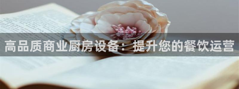 尊龙凯时取款不成功：高品质商业厨房设备：提升您的餐饮运营