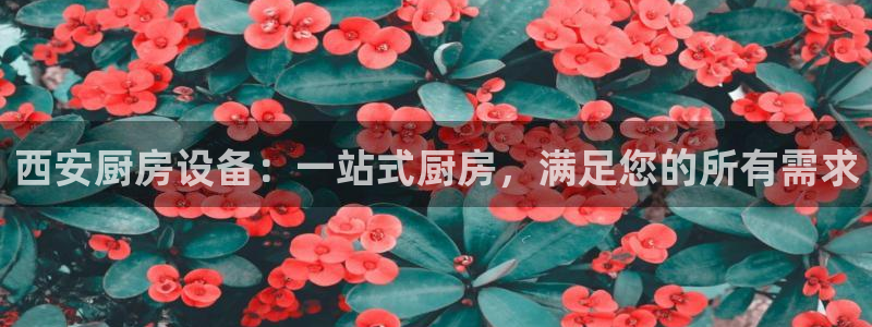 尊龙z6网址：西安厨房设备：一站式厨房，满足您的所有需求