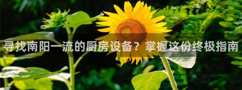 尊龙z6.con：寻找南阳一流的厨房设备？掌握这份终极指南